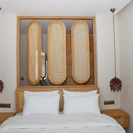 Hotel Cynara Hacimemis *