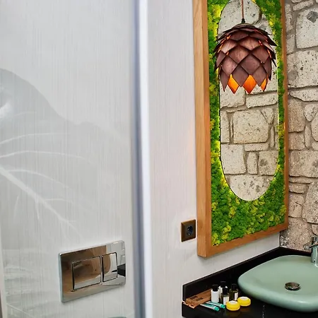 Hotel Cynara Hacimemis